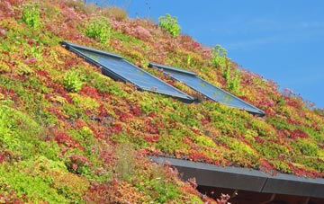 Trimley St Mary living roof systems